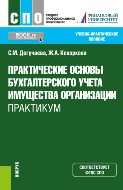 бесплатно читать книгу Практические основы бухгалтерского учета имущества организации. Практикум. (СПО). Учебно-практическое пособие. автора Светлана Догучаева