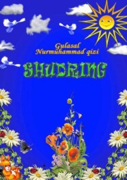 бесплатно читать книгу Шудринг автора Гуласал Нурмухаммад кизи