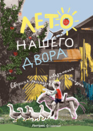 бесплатно читать книгу Лето нашего двора автора Елена Маючая
