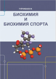 бесплатно читать книгу Биохимия и биохимия спорта автора М. Туйчибаев