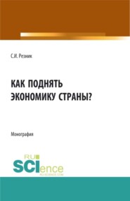 бесплатно читать книгу Как поднять экономику страны?. (Аспирантура, Бакалавриат, Магистратура). Монография. автора Самсон Резник