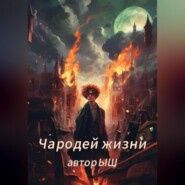 бесплатно читать книгу Чародей Жизни 1.1 автора Ы Ш