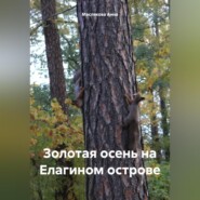 бесплатно читать книгу Золотая осень на Елагином острове автора Анна Маслякова