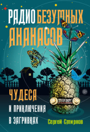 бесплатно читать книгу Радио безумных ананасов автора Сергей Смирнов-Кислород