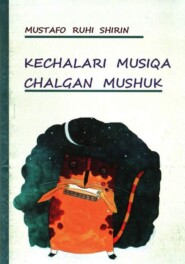 бесплатно читать книгу Кечалари мусиқа чалган мушук автора Мустафо Рухи