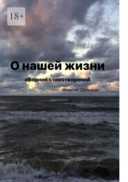 бесплатно читать книгу О нашей жизни автора Алексей Дружакин