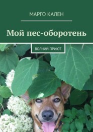 бесплатно читать книгу Мой пес-оборотень. Волчий приют автора Марго Кален