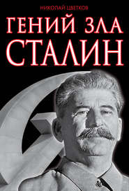 бесплатно читать книгу Гений зла Сталин автора Николай Цветков