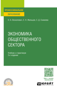 бесплатно читать книгу Экономика общественного сектора 3-е изд., пер. и доп. Учебник и практикум для СПО автора Евгений Жильцов