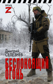 бесплатно читать книгу Беспокоящий огонь автора Дмитрий Селезнёв