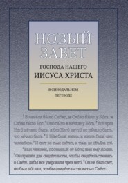 бесплатно читать книгу Новый Завет Господа Нашего Иисуса Христа (с ударениями) автора  Священное Писание