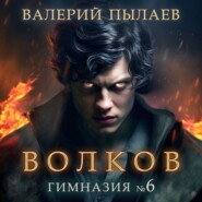 бесплатно читать книгу Волков. Гимназия №6 автора Валерий Пылаев