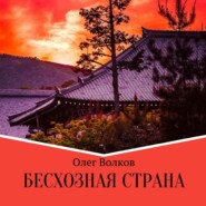 бесплатно читать книгу Бесхозная страна автора Олег Волков