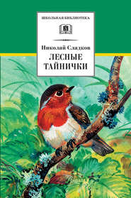 бесплатно читать книгу Лесные тайнички (сборник) автора Николай Сладков