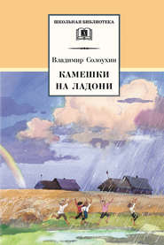 бесплатно читать книгу Камешки на ладони (сборник) автора Владимир Солоухин