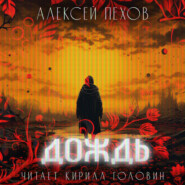 бесплатно читать книгу Дождь автора Алексей Пехов