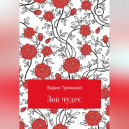 бесплатно читать книгу Зов чудес автора Вадим Троицкий