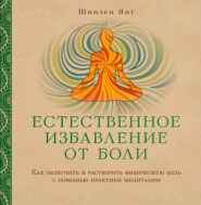 бесплатно читать книгу Естественное избавление от боли. Как облегчить и растворить физическую боль с помощью практики медитации автора Шинзен Янг