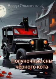 бесплатно читать книгу Полуночные сны чёрного кота автора Влада Ольховская