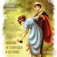 бесплатно читать книгу Любовь не камушек в ботинке автора Владимир Стрельников