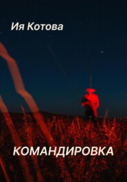бесплатно читать книгу Командировка автора Ия Котова