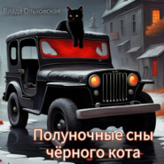 бесплатно читать книгу Полуночные сны чёрного кота автора Влада Ольховская