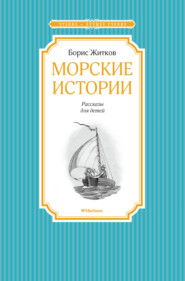 бесплатно читать книгу Морские истории автора Борис Житков