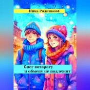 бесплатно читать книгу Снег возврату и обмену не подлежит автора Ника Родникова