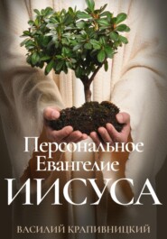 бесплатно читать книгу Персональное Евангелие Иисуса автора Василий Крапивницкий
