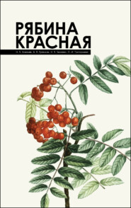 бесплатно читать книгу Рябина красная автора Николай Ковалев