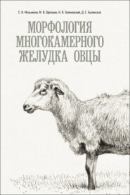 бесплатно читать книгу Морфология многокамерного желудка овцы автора Сергей Мельников