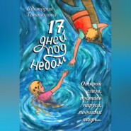 бесплатно читать книгу Семнадцать дней под небом автора Виктория Топоногова