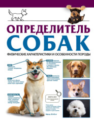 бесплатно читать книгу Определитель собак. Физические характеристики и особенности породы автора Анастасия Прудник