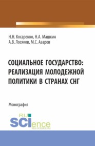 бесплатно читать книгу Социальное государство: реализация молодежной политики в странах СНГ. (Бакалавриат, Магистратура). Монография. автора Николай Машкин