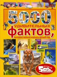 бесплатно читать книгу 5000 удивительных фактов, которые можно изучать целый год автора Татьяна Жданович