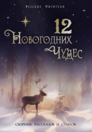 бесплатно читать книгу 12 новогодних чудес автора Софья Самокиш