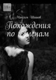 бесплатно читать книгу Похождения по изменам автора Максим Шишов