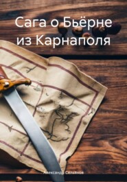 бесплатно читать книгу Сага о Бьёрне из Карнаполя автора Александр Сельянов