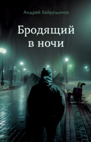 бесплатно читать книгу Бродящий в ночи автора Андрей Хайрутдинов