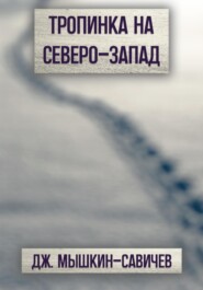 бесплатно читать книгу Тропинка на северо-запад автора Дж. Мышкин-Савичев
