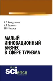 бесплатно читать книгу Малый инновационный бизнес в сфере туризма. (Бакалавриат, Магистратура, Специалитет). Монография. автора Максим Васюков