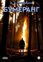 бесплатно читать книгу Бумеранг автора Алексей Кондрашин