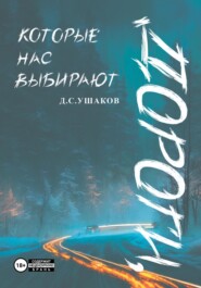 бесплатно читать книгу Дороги, которые нас выбирают автора Денис Ушаков