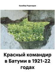 бесплатно читать книгу Красный командир в Батуми в 1921-22 годах автора Кахабер Родинадзе