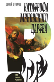 бесплатно читать книгу Катастрофа Московского царства автора Сергей Шокарев