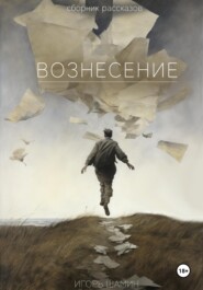 бесплатно читать книгу Вознесение автора Игорь Шамин