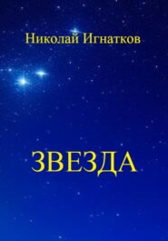 бесплатно читать книгу Звезда автора Николай Игнатков