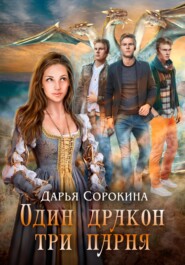 бесплатно читать книгу Один дракон – три парня автора Дарья Сорокина