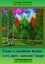 бесплатно читать книгу Сказка о самолётике Ветерке и его друге, мальчике Тимуре автора Игорь Шиповских