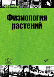 бесплатно читать книгу Физиология растений автора Сергей Медведев